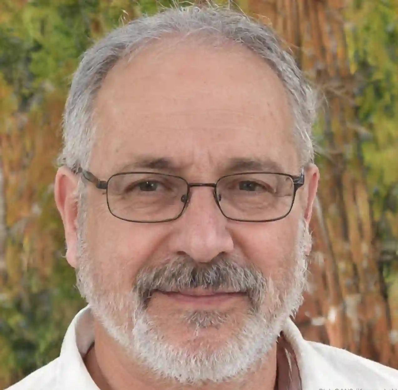 Marko Biočina — Analitičar online casina
